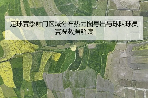 足球赛季射门区域分布热力图导出与球队球员赛况数据解读